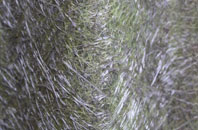 Mattishall fibreglass roof work